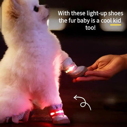 LED Dog Boots™ l LAST CHANCE