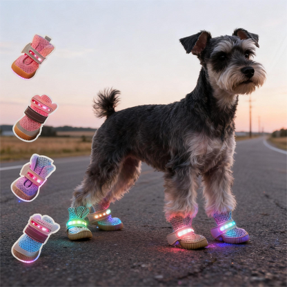 LED Dog Boots™ l LAST CHANCE