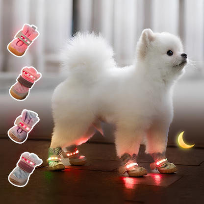 LED Dog Boots™ l LAST CHANCE
