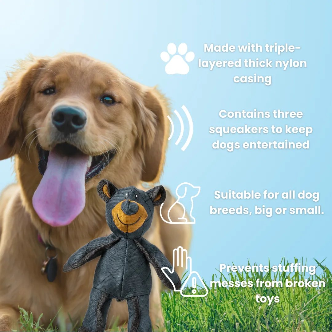 BearTough -  Durable Chew Toy
