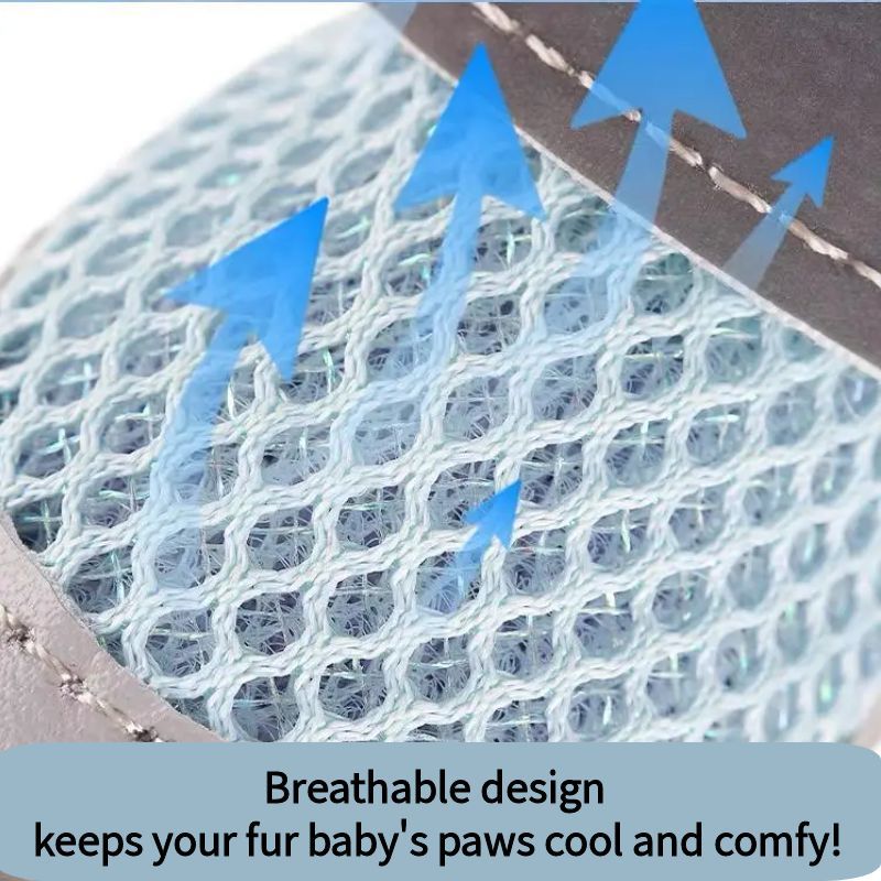 LED Dog Boots™ l LAST CHANCE