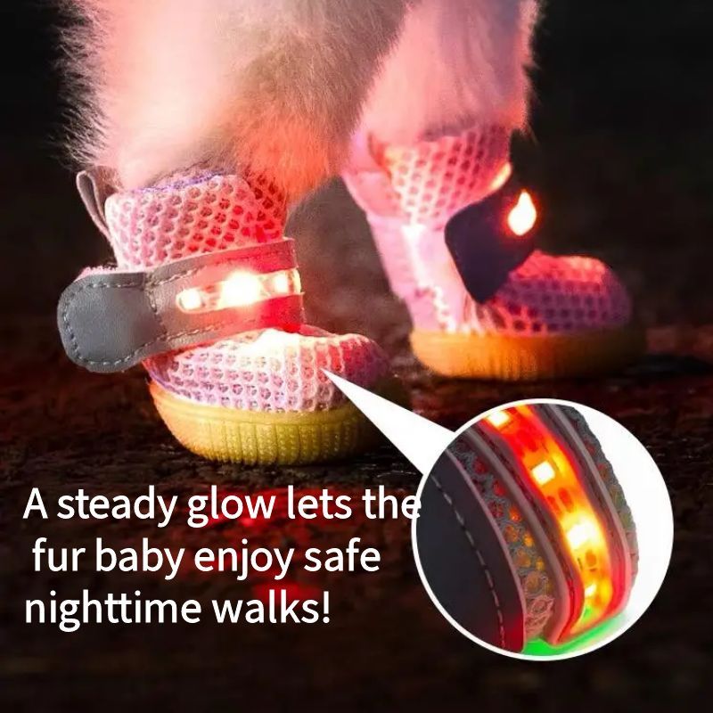 LED Dog Boots™ l LAST CHANCE