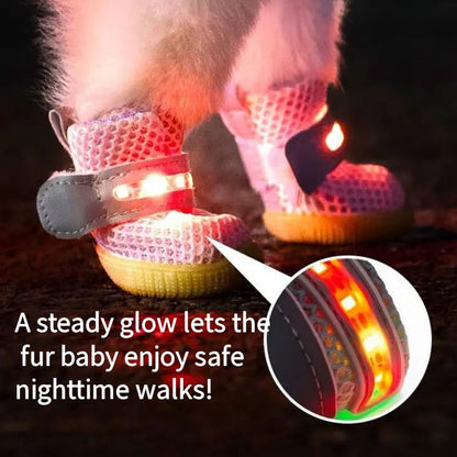 LED Dog Boots™ l LAST CHANCE