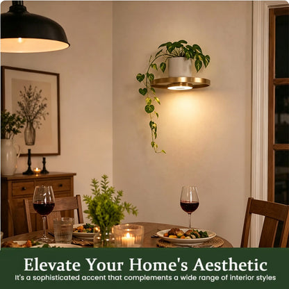 LumaShelf – Floating Gold Plant Shelf with Ambient LED Light